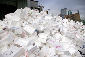 Image result for styrofoam