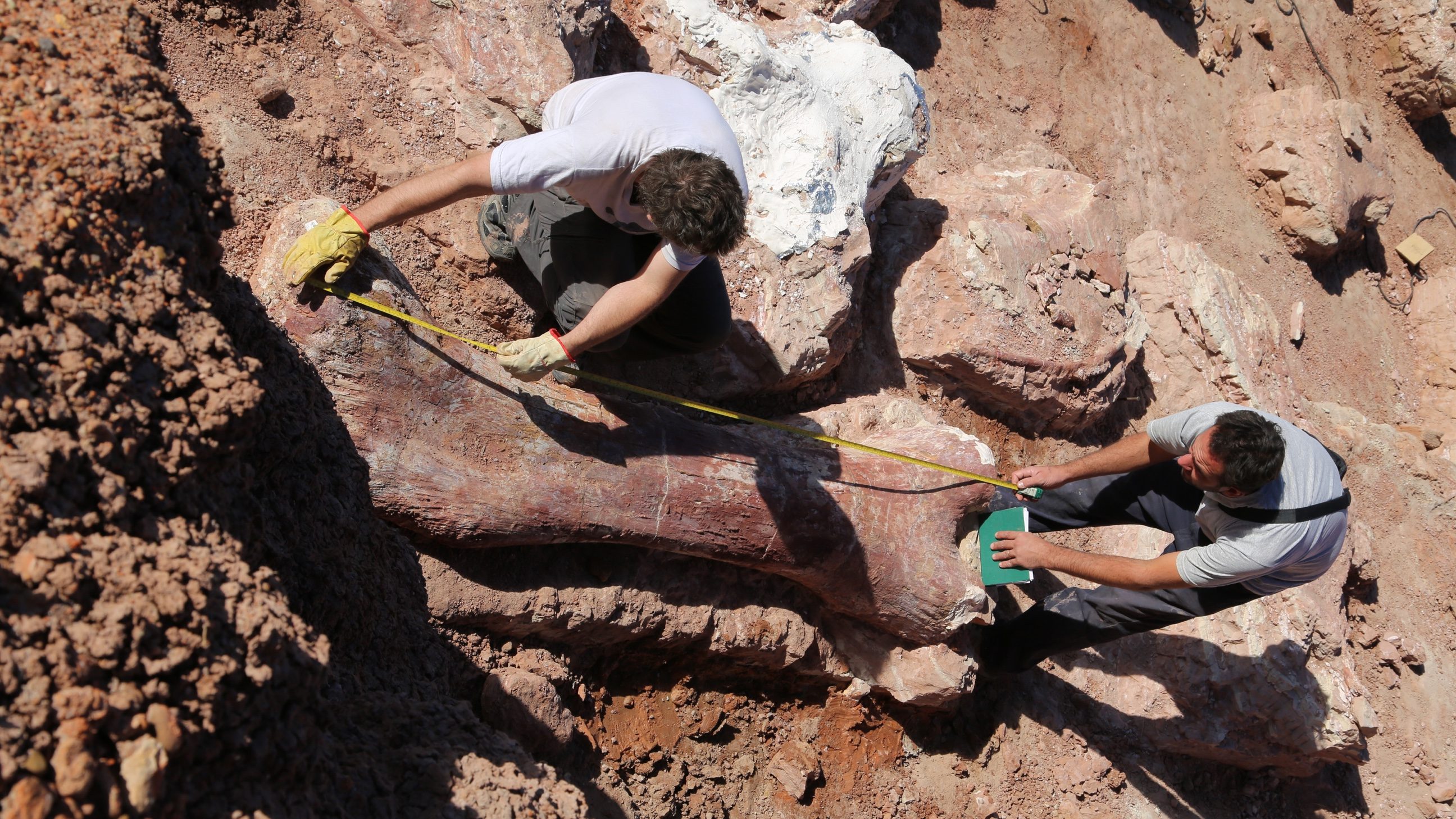 nature raising the dinosaur giant