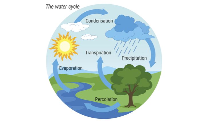 The Hidden Causes Of Lake Evaporation
