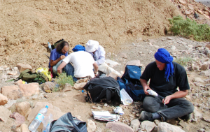 Van Roy (bottom right) and co-workers in the field.. Image courtesy of Peter van Roy.