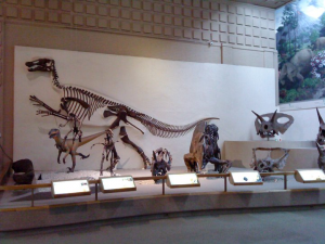 features-museum