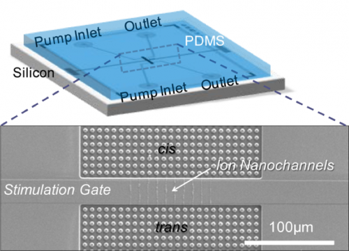 Nano Channels3