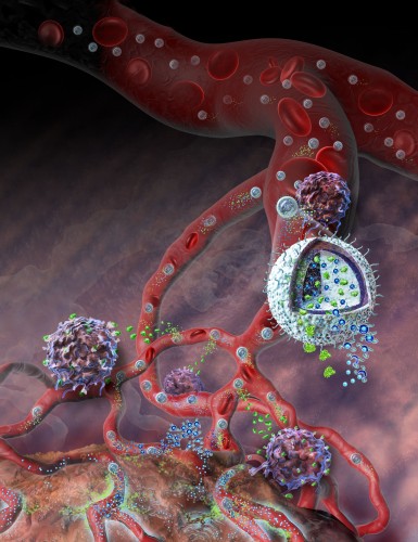 nanogel1