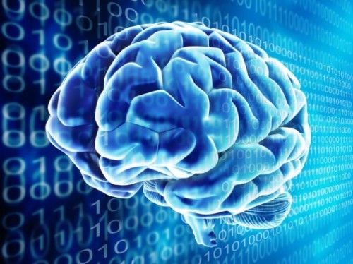 Brain1