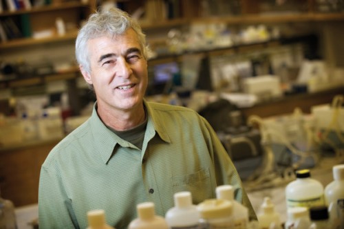 Stephen Giovannoni is the lead researcher of the Oregon State University team that identified the most abundant marine viruses. His lab focuses on the interaction between viruses and SAR11 bacteria, and has found that the viruses serve the essential function of controlling bacterial populations and recycling carbon into the ecosystem. Courtesy of Karl Maasdam.