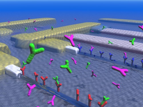 Array of biosensor devices with receptors and ligands. Courtesy of Mark Reed.