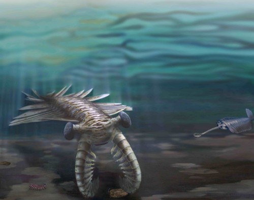 A depiction of marine life during the Cambrian Period. Courtesy of Katrina Kenny and Nobumichi Tamura.