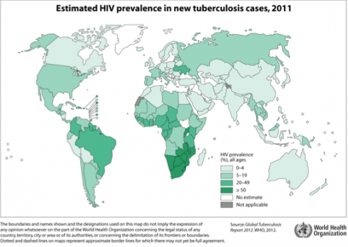 While HIV is prevalent throughout the world, the epidemic is at its highest incidence rates in Southern Africa. In this region, it is estimated that 50 percent of new TB patients are also infected with HIV. Courtesy of Dr. Bucala. 