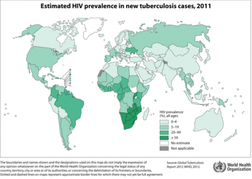 While HIV is prevalent throughout the world, the epidemic is at its highest incidence rates in Southern Africa. In this region, it is estimated that 50 percent of new TB patients are also infected with HIV. Courtesy of Dr. Bucala.