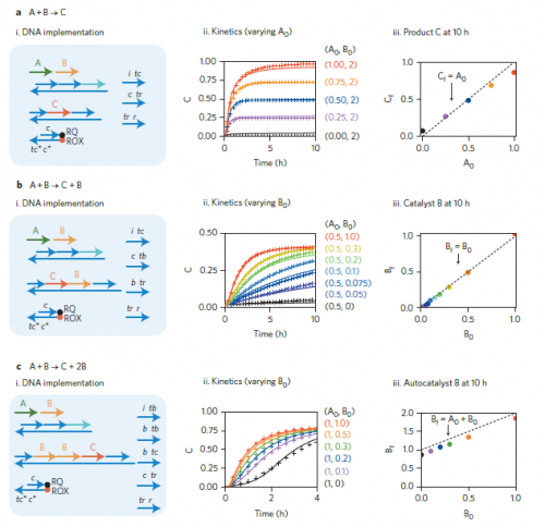 Results from programming individual types of reactions: non-catalytic (a), bimolecular catalytic (b) and autocatalytic (c). Image courtesy of Nature Nanotechnology.