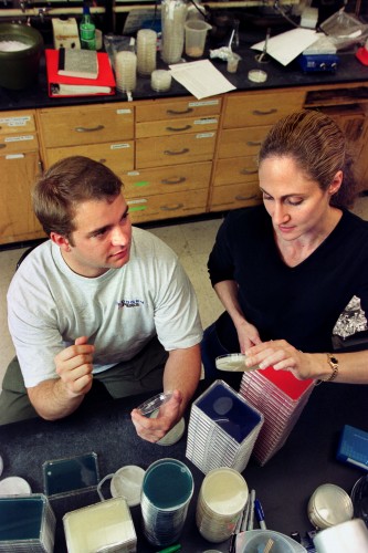 Pictured on the right, Jo Handelsman examining petri dish samples with a graduate student in lab. Courtesy of the University of Wisconsin-Madison.