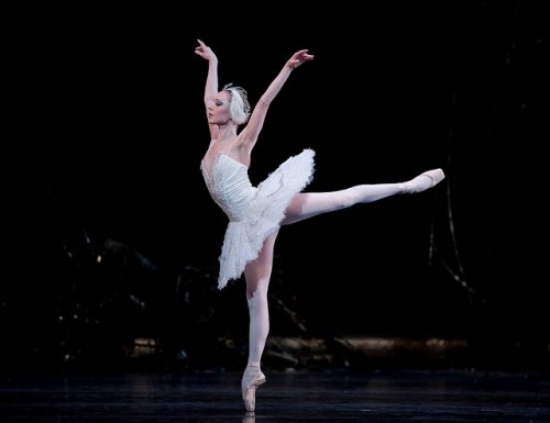 A ballerina can execute multiple pirouettes without becoming dizzy. Courtesy of Bill Cooper.