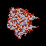 An example of a protein’s three-dimensional folded structure. Many amino acids inside the complex are not exposed to the outside environment until the protein is ready to undergo degradation. (Courtesy of specmetcrime.com)