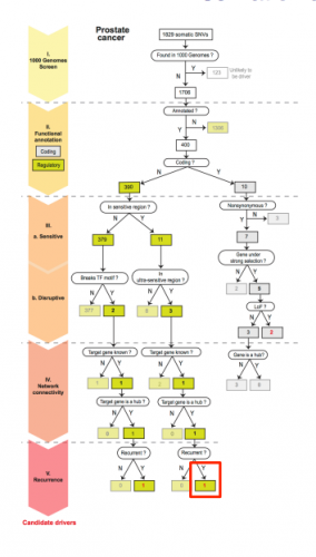 The decision tree depicts the logic behind the prioritization of each variant and is the main framework of the programming utilized to determine the cancer triggering variants. Courtesy of Mark Gerstein.