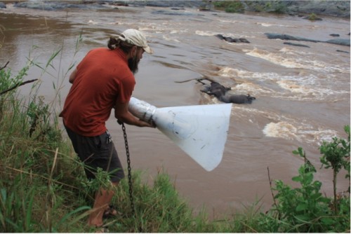 Dutton prepares to throw the underwater meter, housed in the protective casing designed by CEID students, into the river. Courtesy of Amanda Subalusky and Christopher Dutton.