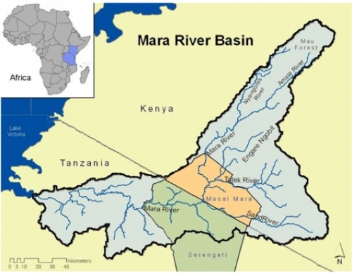 The path of the Mara River. It runs through both Kenya and Tanzania, including the Serengeti, before flowing into Lake Victoria. Courtesy of Global Water for Sustainability. 