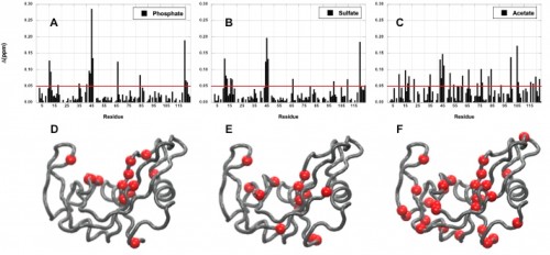 Chemical shift perturbations caused in RNase A by the addition of phosphate (A, D), sulfate (B, E), and acetate (C, F). Courtesy of Patrick Loria.