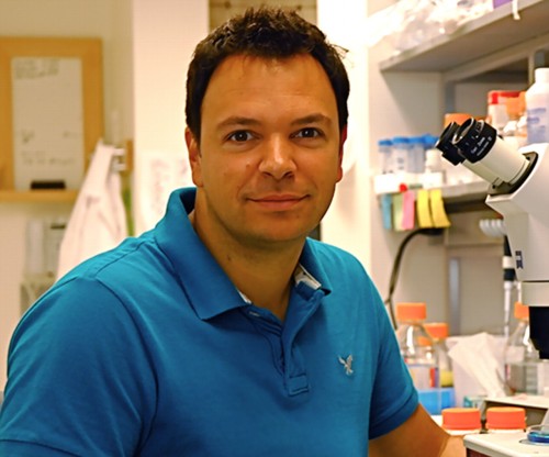 Yale Associate Professor of Genetics Antonio Giraldez. Image Courtesy of Barcelona Biomedical Research Park.