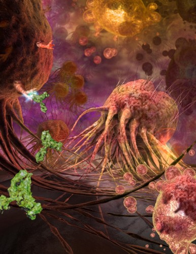 Paul’s medical illustration of breast cancer cells being destroyed by bioengineered antibodies won at the 2011 Science & Engineering Visualization Challenge. One of the most important purposes of medical illustration according to Paul is to depict processes that cannot be photographed. Courtesy of Emiko Paul (Copyright Echo Medical Media).