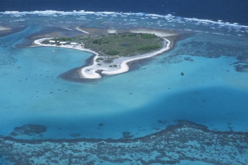 One Tree Island, located in the Great Barrier Reef, is where this study was conducted. One Tree island was chosen because it is the outermost reef of the Capircord-Bunker reef group and borders the open ocean, so the distinction between reef and ocean water is more obvious. Courtesy of James Cook University.