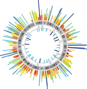 It is divided into 32 sections, each of which corresponded to a single E. coli strain that underwent MAGE from the outset. Courtesy of the Isaacs lab.