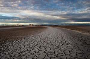 The Colorado River delta today: dry, cracked, barren. Image courtesy of Peter McBride IMAGE COURTESY OF PETER MCBRIDE