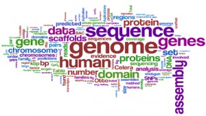 Picture 4. Genome seq. extent