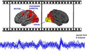 People who watched the silent film At Land produced similar patterns of brain signals. These signals originated from the same brain regions, such as the motor, posterior parietal, and visual cortices. (Image Courtesy of ScienceDaily)