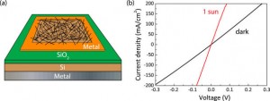 Image courtesy of Nano Letters