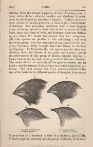 Finch beak morphology was described and diagrammed in Darwin’s On the Origin of Species, which first proposed the theory of evolution. Image courtesy of the University of Oklahoma.