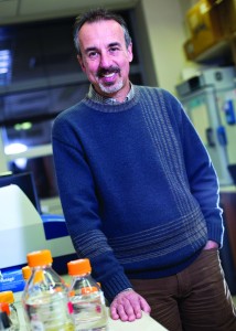 Eduardo Groisman is a professor of microbial pathogenesis at the Yale School of Medicine. He recently identified a form of motility in Salmonella that has escaped observation until now. Image Courtesy of Eduardo Groisman.