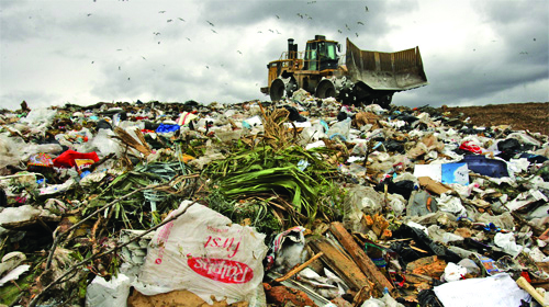 Resolving The Age-old Debate. Paper Vs Plastic Bags - envoPAP