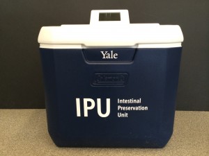 IPU 1