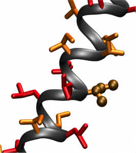 The molecular structure of the synthesized LIL proteins. The proteins were in an alpha helix configuration. Image courtesy of the DiMaio laboratory.