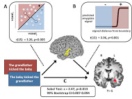 The model of information flow for stimulus to lmSTC to amygdala. The red region corresponds to the more emotionally evocative sentence, “the grandfather kicked the baby,” and the blue regions correspond to the less emotionally evocative sentence, “the baby kicked the grandfather.” The data was produced using fMRI and analyzed using MVPA. Courtesy of Steven Frankland.