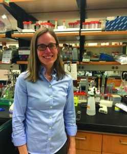 Kathryn Miller-Jensen and her team study the reactivation of latent HIV at the Yale School of Engineering and Applied Science. Photo by Christine Xu.