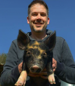 Mark Essig relaxes with a pig; industrial pigs today can reach over 300 pounds in less than a year after birth. Image courtesy of Mark Essig.