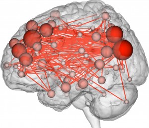 The most unique set of connections in the brain (i.e. the connections that contributed most to the discriminatory power of the profiles).