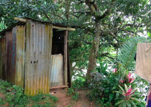 A shed toilet found near the river in Fiji. Although there is sufficient fresh water on the planet for everyone, millions still die from disease due to poor sanitation and lack of clean water. Image courtesy of Virginia Pitzer. 