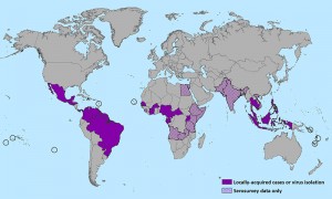 In May 2015, the Zika virus was reported in the Western Hemisphere for the first time. Image courtesy of Wikimedia Commons.