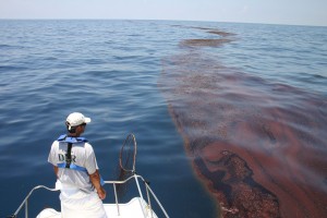 Human activities, such as overfishing and pollution, are causing rampant and rapid changes in the marine ecosystems. Image courtesy of NOAA