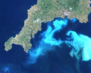 Phytoplankton blooms visibly change the color of ocean water, seen here off the coast of England. Image courtesy of Wikipedia.