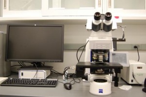 Optical microscopy is one of the many laboratory techniques conservation scientists and conservators routinely use to analyze artwork. 