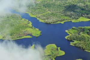 Quantification of ecosystem services is of particular relevance to developing countries in possession of highly sensitive ecosystems, such as the Brazilian Amazon, which faces increasing threats from groups urging increased extraction. Image courtesy of Wikipedia Commons