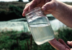 Fluid-Screen will be able to test a small water sample, such as the one pictured above, on site and within half an hour. Image courtesy of Flickr.com