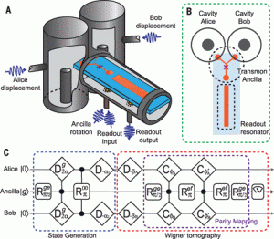 The Quantum Institute’s ingenious design couples the two cavities through a Y-shaped transmon and protects the internal information with ground-breaking effectiveness. Courtesy of Yvonne Gao.