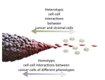 The research will rely on the analysis of behavior of individual cells and cell-cell interactions. Image courtesy of Dr. Andre Levchenko.