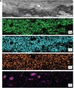 Reduced bridgmanite sample with specific elements highlighted in different colors. Image courtesy of Dr. Kanani Lee.