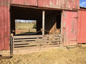 While current therapies aim to remedy the IDH mutations and so stop production of oncometabolites, these carcinogenic molecules have already been released into the body. The research team reasoned that fixing the barn door is useless once the horse has escaped.