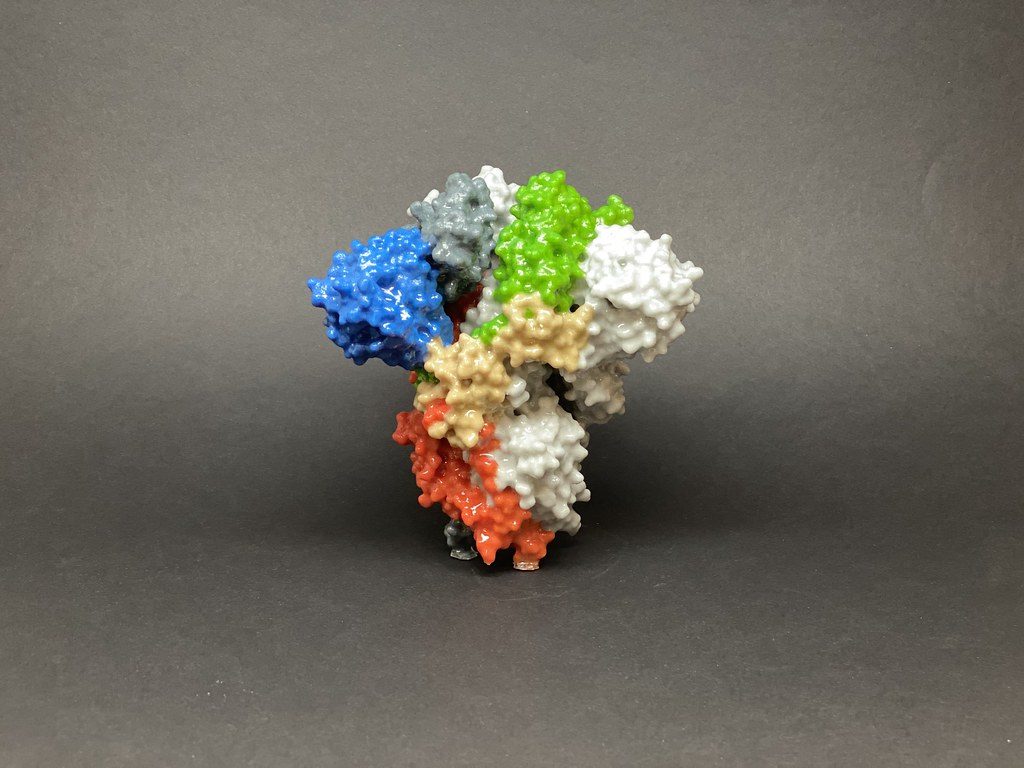 spike protein covid vaccine spike protein covid vaccine